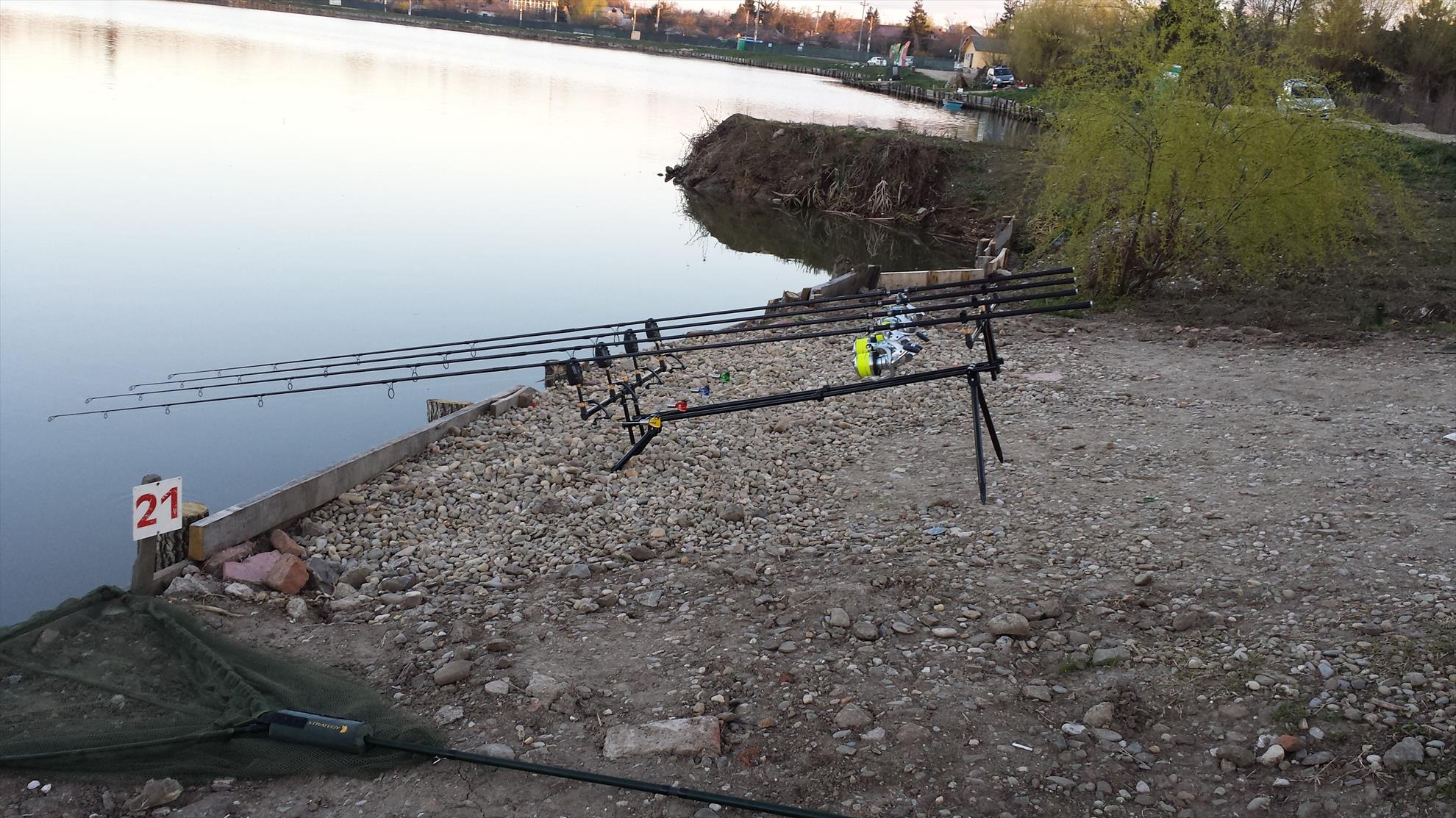 Hermes Peris 4 aprilie 2015 - 20150404071215.jpg